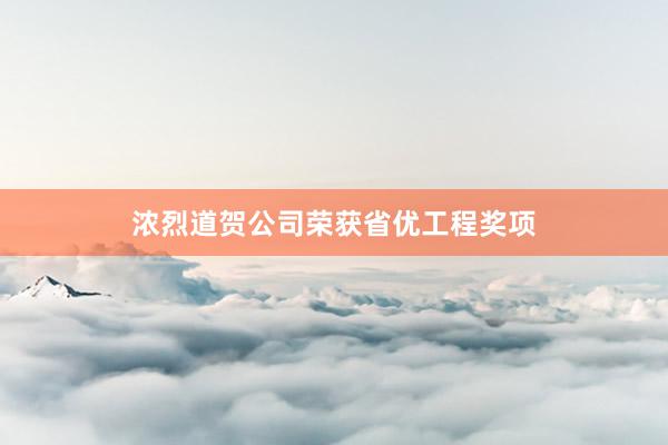 浓烈道贺公司荣获省优工程奖项